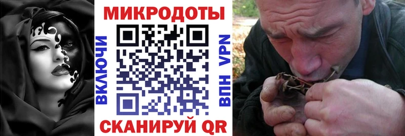 Галлюциногенные грибы Magic Shrooms  Купить  Ялуторовск 